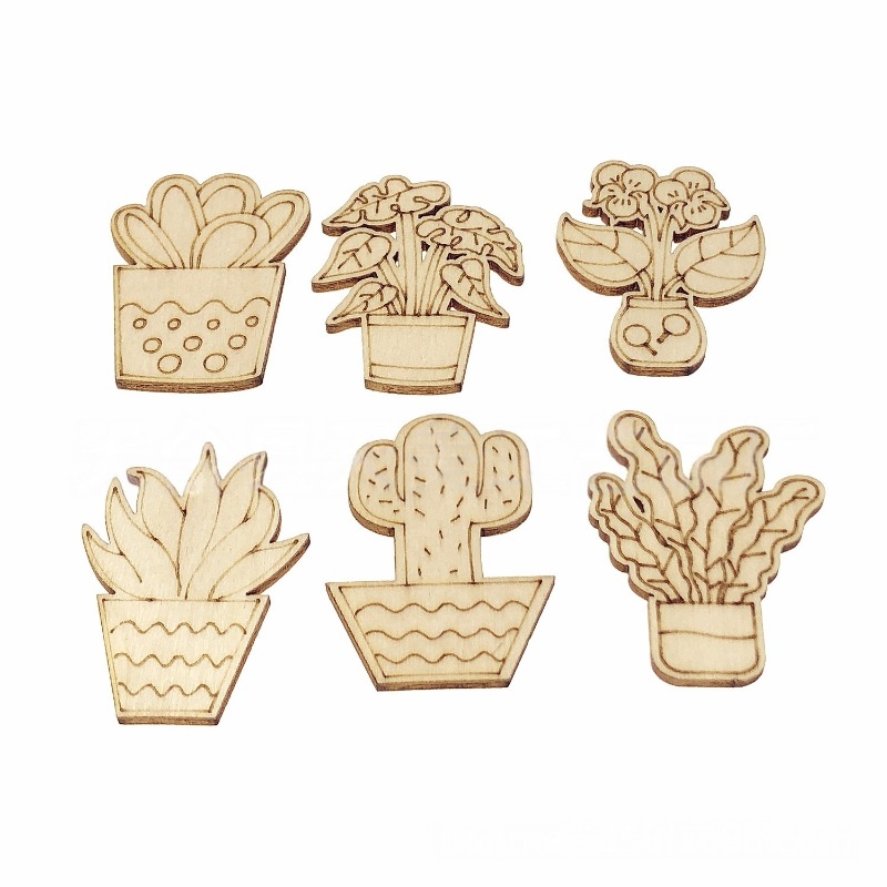 50 stuks gemengde stijlen bloe - Cactus Mix Pot recensie en prijs
