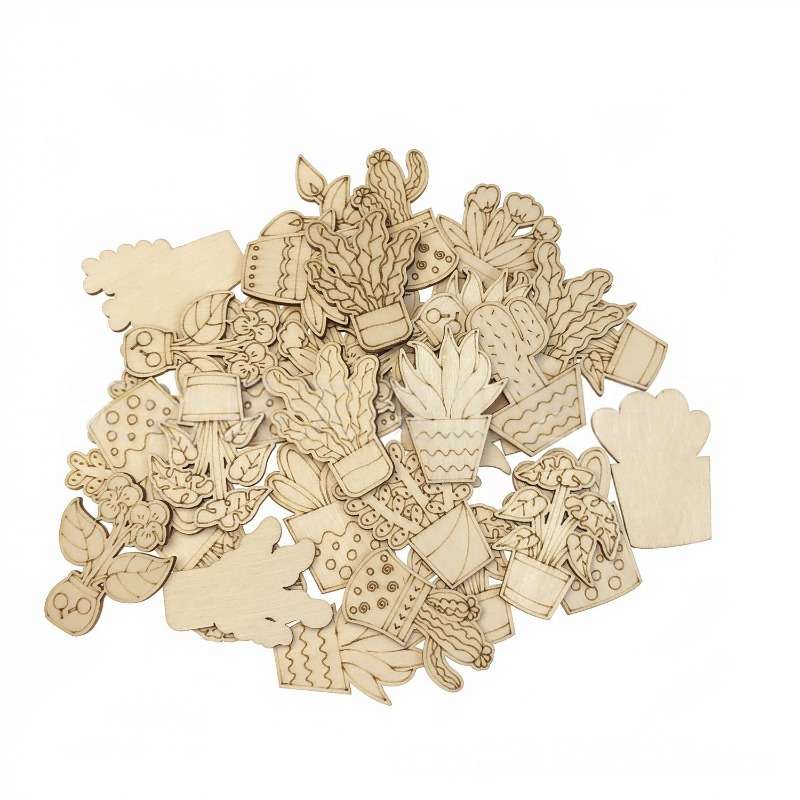 50 stuks gemengde stijlen bloe - Cactus Mix Pot recensie en prijs